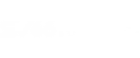 logo sv66