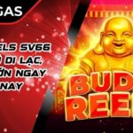 Budai Reels SV66 – Quay Hũ Di Lạc, Trúng Lớn Ngay Hôm Nay
